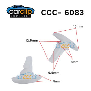 ccs-6083