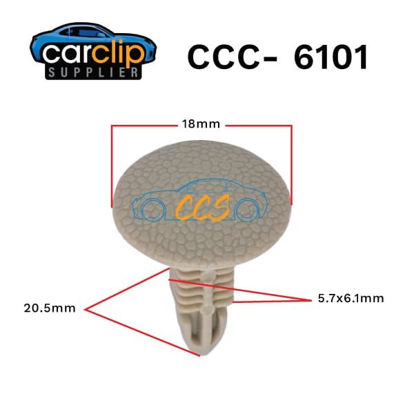ccs-6101